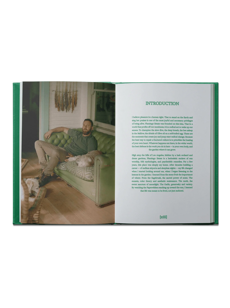 The Guide To Becoming Alive