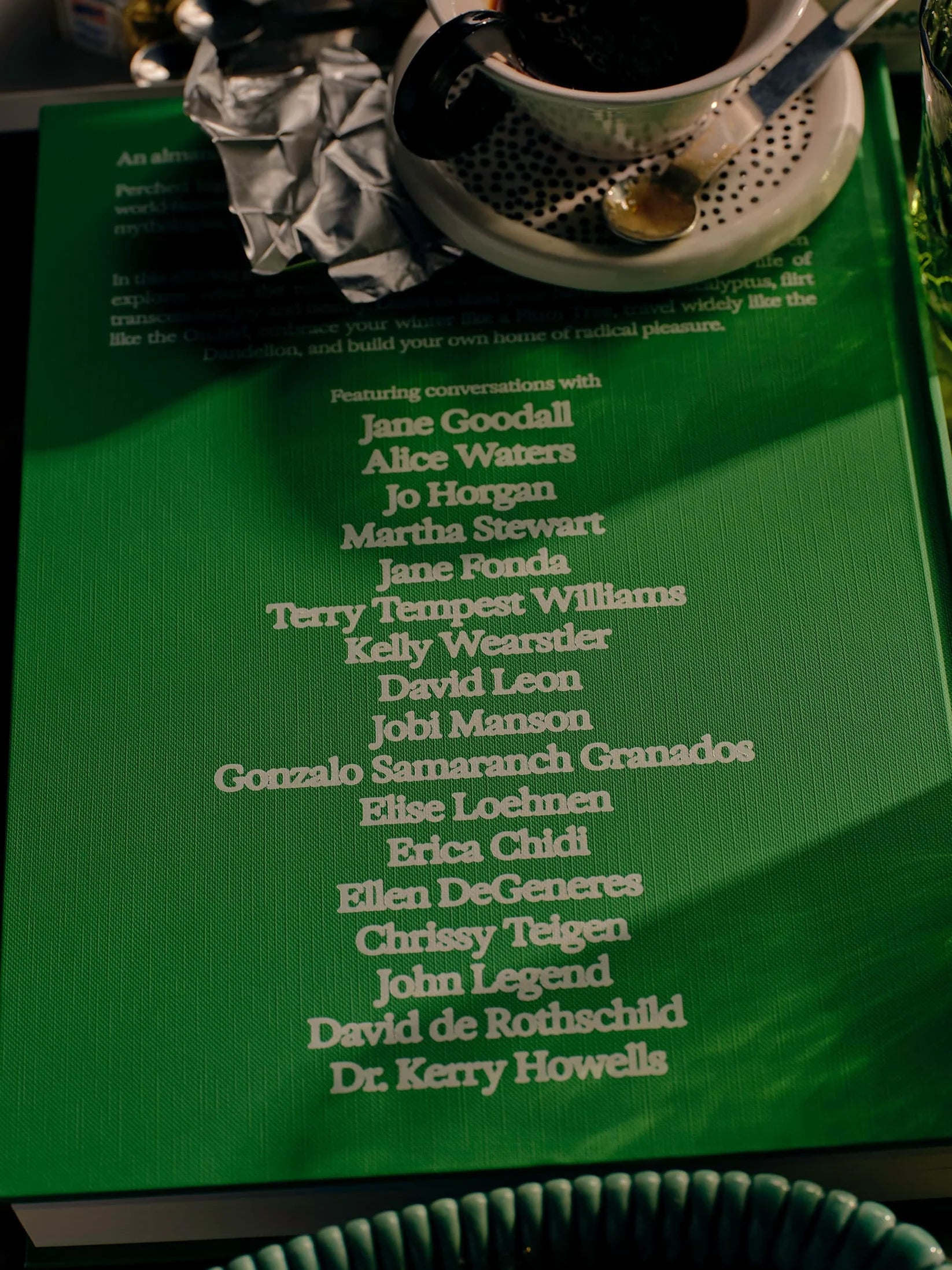 The Guide To Becoming Alive