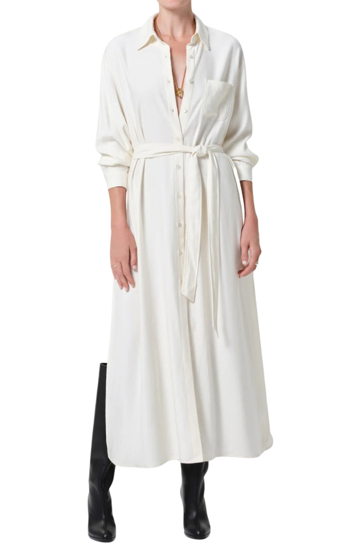 Camillia Shirt Dress in Moonlight