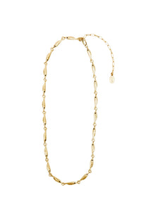 Sardine Chain Necklace in Vintage Gold