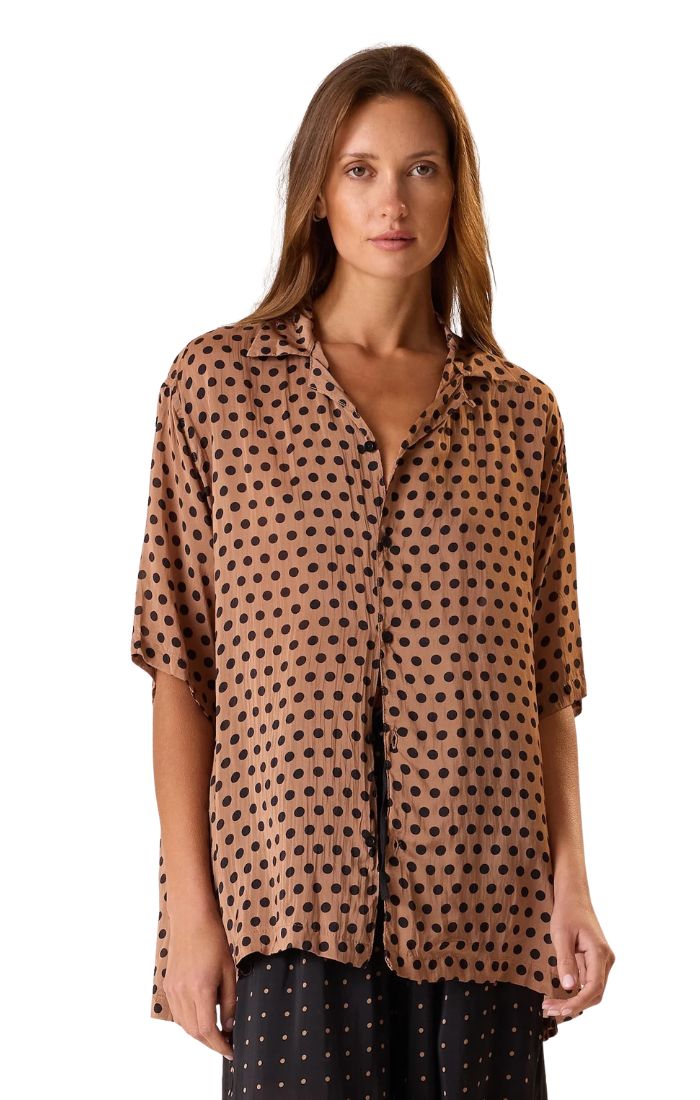 Kevin Shirt in Petite Polka Dot Black